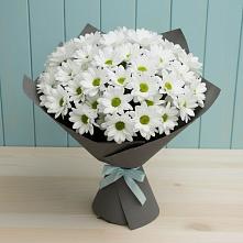 Букет цветов из:  Хризантемы #REPLACE_PRED# Красные Ткачи