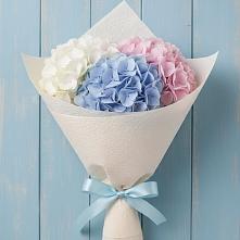 Букет цветов из:  Гортензия в Красные Ткачи