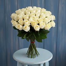 Букет 51 Белая роза Эдлесс Лав в Красные Ткачи