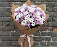 Букет цветов из:  Хризантемы #REPLACE_PRED# Красные Ткачи