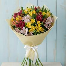 Букет цветов из:  Альстромерии в Красные Ткачи