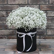 Цветочная композиция из Гипсофила в шляпной коробке в Красные Ткачи