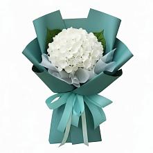 Букет цветов из:  Гортензия в Красные Ткачи